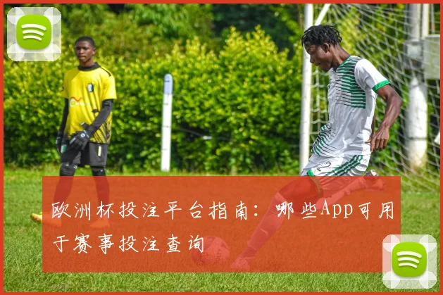 欧洲杯投注平台指南:哪些App可用于赛事投注查询