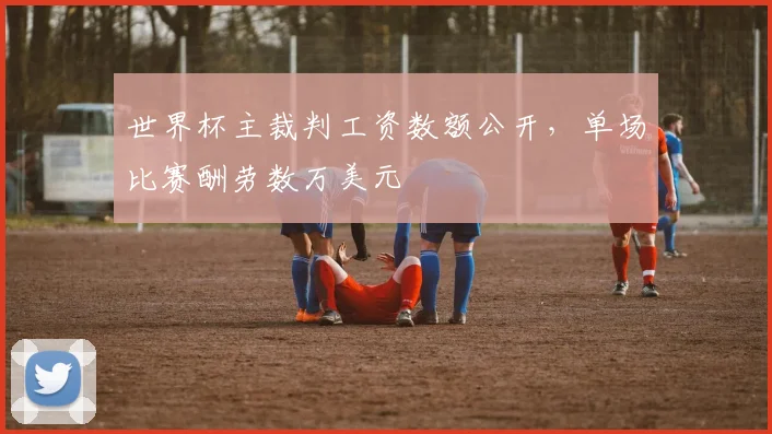 世界杯主裁判工资数额公开,单场比赛酬劳数万美元