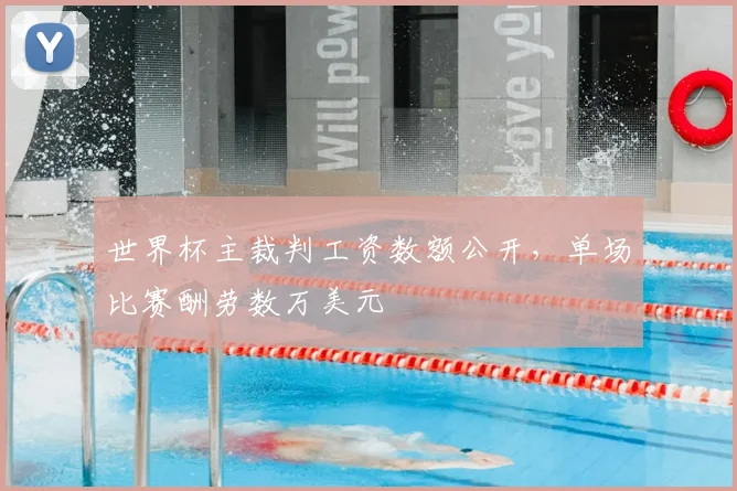 世界杯主裁判工资数额公开,单场比赛酬劳数万美元