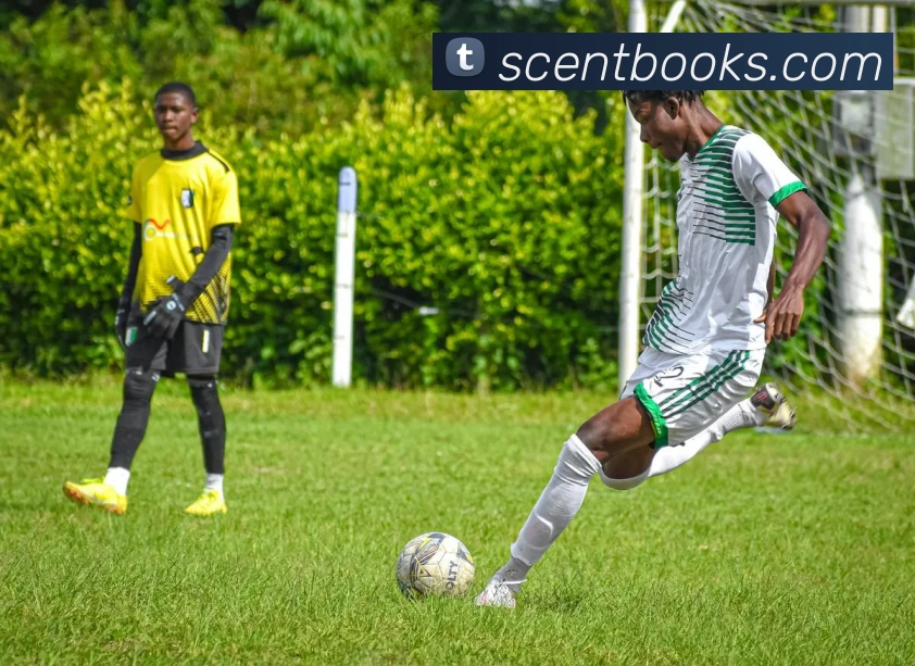 张家口赛区冬奥赛事收官中国代表团创历史最佳战绩